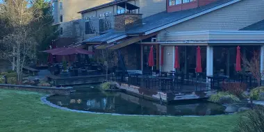 Forest Escape: Overnight at Cedarbrook Lodge