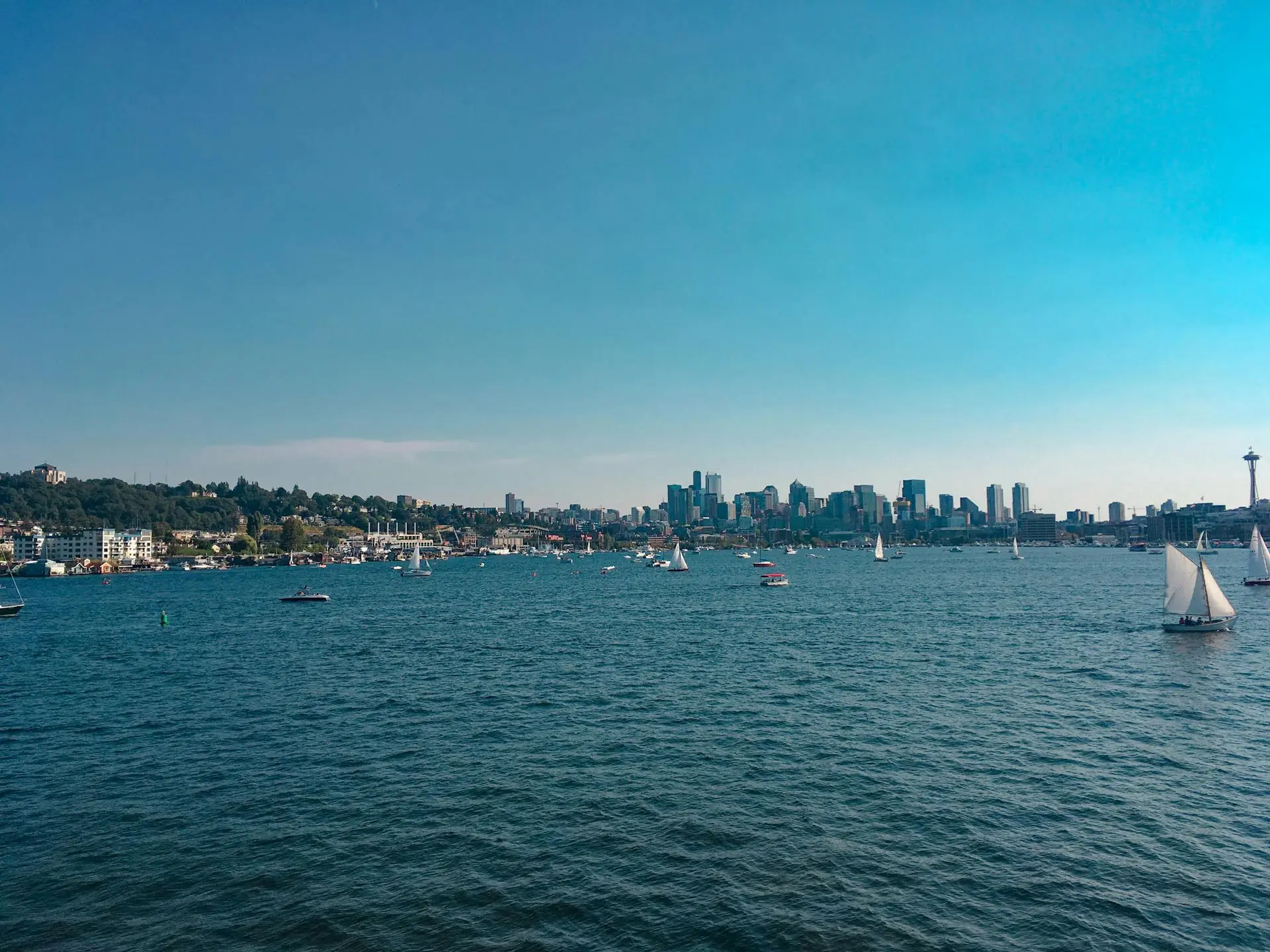 Skyline Views + Seaplanes: Kayak Through Lake Union