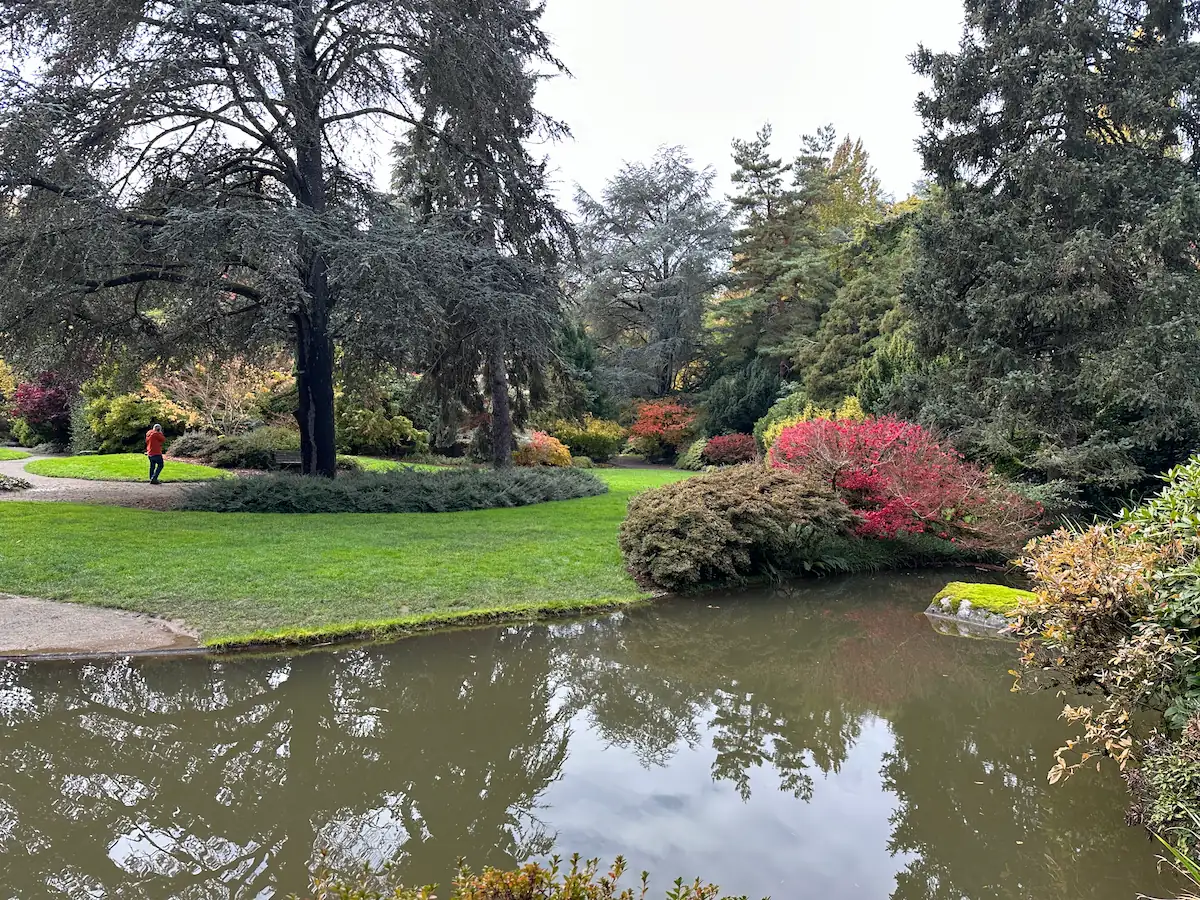 Secret Garden Stroll: Explore Kubota's Serene Trails