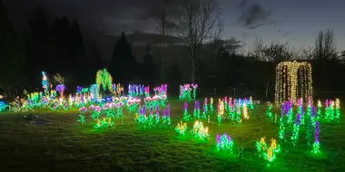 Garden d’Lights: Winter Lights Walk in Bellevue