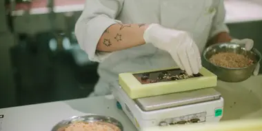 Maeve Chocolate Factory Tour: Sweet, Hands-On Tasting