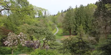 Romantic Date Ideas in Seattle