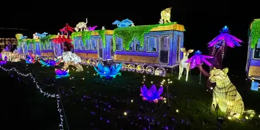 Seasonal and Holiday Date Ideas in Seattle